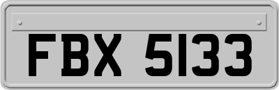 FBX5133