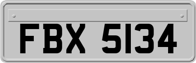 FBX5134