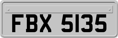 FBX5135