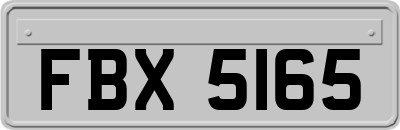FBX5165