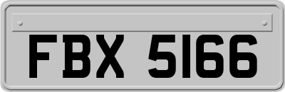 FBX5166