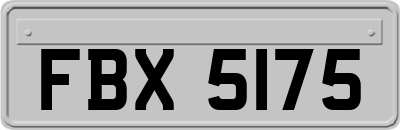 FBX5175