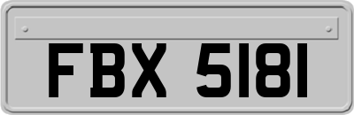 FBX5181