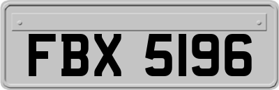 FBX5196