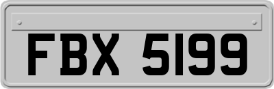 FBX5199