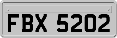 FBX5202