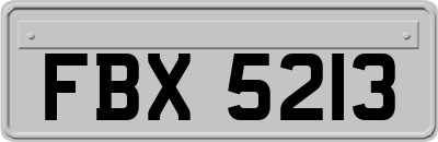 FBX5213