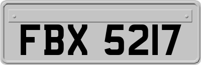 FBX5217
