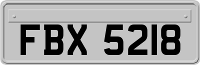 FBX5218