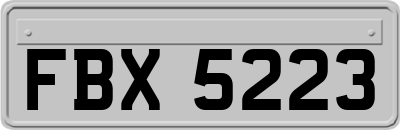 FBX5223