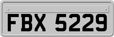 FBX5229