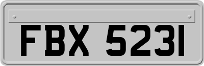 FBX5231