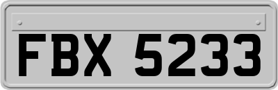 FBX5233