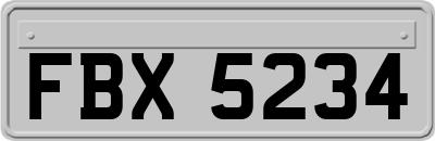 FBX5234