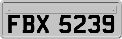 FBX5239