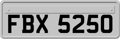 FBX5250