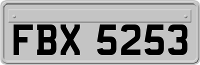 FBX5253