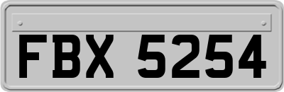 FBX5254