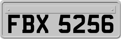 FBX5256