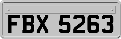 FBX5263