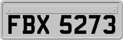 FBX5273