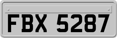 FBX5287