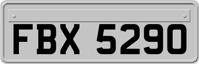 FBX5290