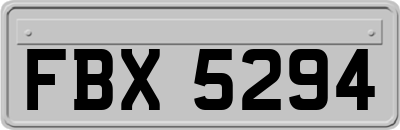 FBX5294
