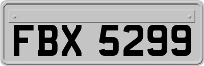 FBX5299
