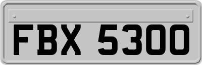 FBX5300