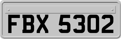 FBX5302
