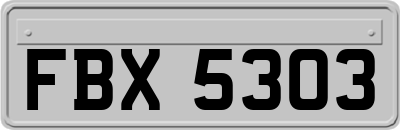 FBX5303