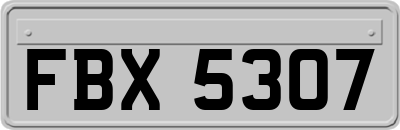 FBX5307