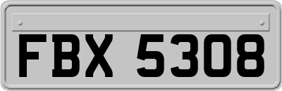 FBX5308