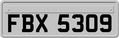 FBX5309