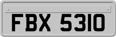 FBX5310