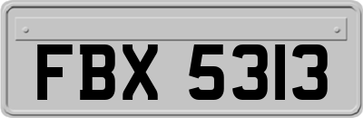 FBX5313