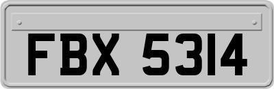 FBX5314