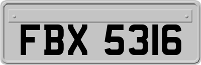 FBX5316