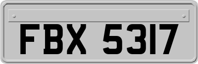 FBX5317