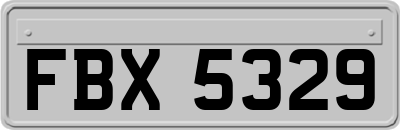FBX5329