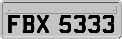 FBX5333