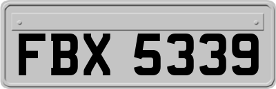FBX5339