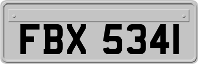 FBX5341