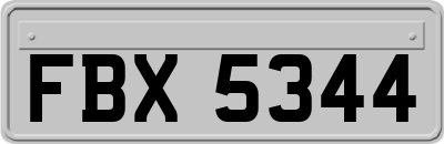 FBX5344