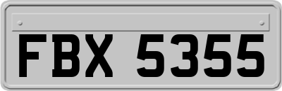 FBX5355