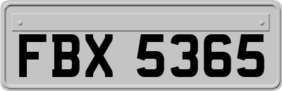FBX5365