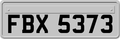 FBX5373