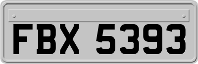 FBX5393