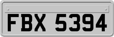 FBX5394